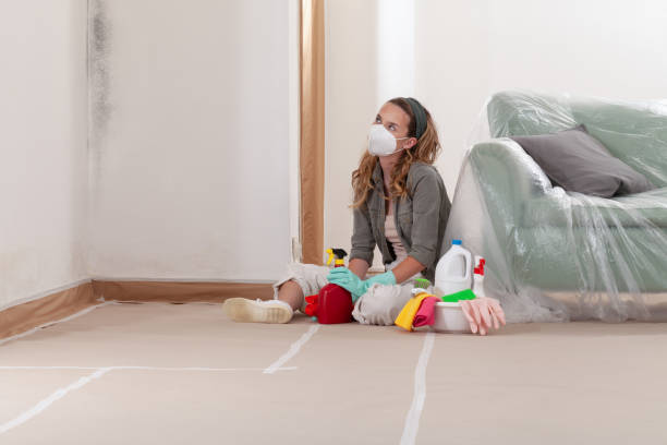 Reliable Mold Testing contractor in Severn, MD by WQB Mold Removal