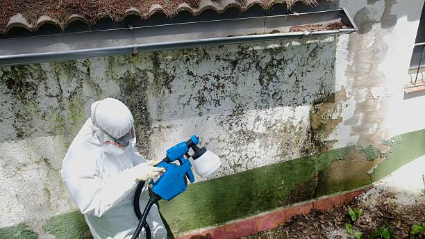 Top rated local Mold Testing specialists in Severn, MD